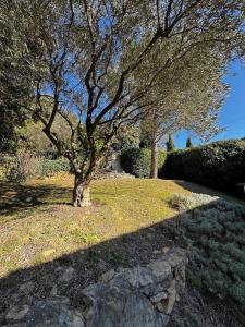Villas LE SIG - Piscine - Jardin - 6 Chambres : photos des chambres
