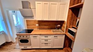 Charming 50m2 Apartment in Zagreb City Center