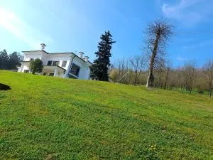 WHITE HOUSE - نيتسا مونفيراتو