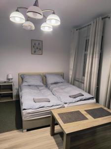 Stara Kamienica Centrum