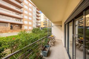 Apartment Edificio Liz