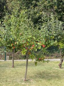 VILLA CON VISTAS AL MAR
