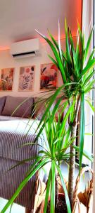 Aquarius Porto Boszkowo Apartamenty