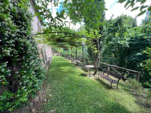 One-Bedroom Premium Apartment