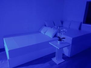 Pool and Jacuzzi Luxury Apartments