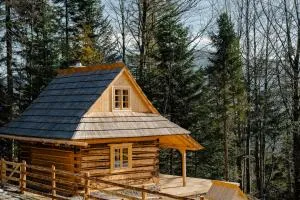 Sopki Stopki Polana Wspólna - Cięcina