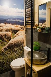 Sopki Stopki Polana Wspólna