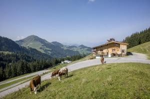 Alm-Appartement - Fam. Niedermühlbichler