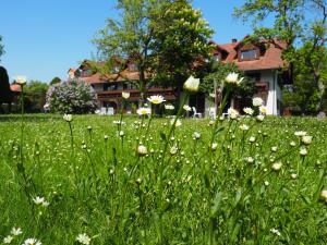 Pension Aufeld