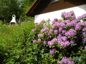 Waldhuesli Feldberg Gartengeschoss