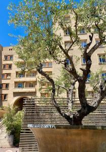 Appartements Click! Magical Views Notre-Dame, Vieux Port & Rooftops - Walk to All : photos des chambres