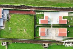 Bird House by PontaNegraAzores