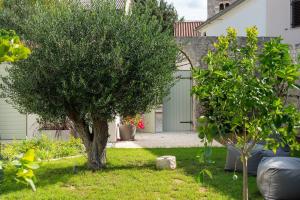 Luxury Villa Marca heated pool 36m2