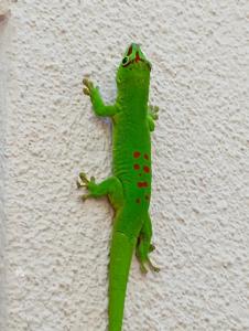 Villa Delice, exquisite avec piscine privée