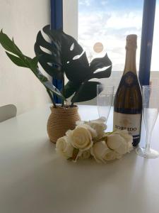 Sweet Home Clube Praia da Rocha III 455