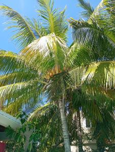 Villa Delice, exquisite avec piscine privée