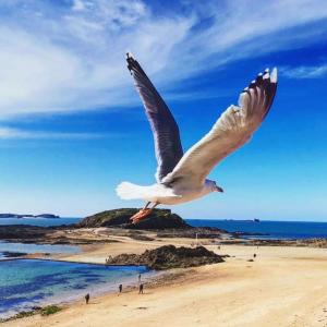 Maisons de vacances Maison renovee en centre-ville, a 5 min des plages : photos des chambres