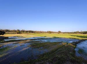 The Farmer Farm Stay & Cafe