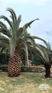 Quinta de São José by PontaNegraAzores