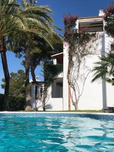 Penthaus Casa Harmony for long rental