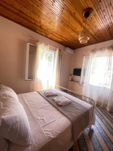 Lemon Yard Apartment