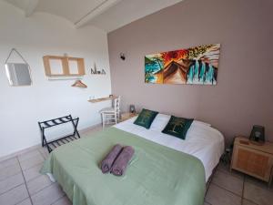 Maisons d'hotes Mas La Belle Ambroise - Chambres d'hotes et Gite : photos des chambres