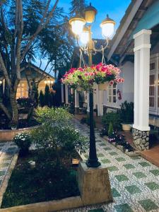 Nhà Nghỉ Sân Vườn Phượng Tím