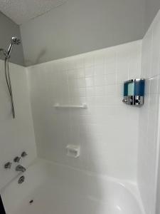 Cozy 1BR Apartment Near Charlotte & 2 King Casino!