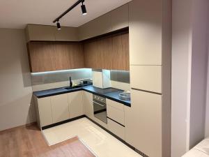 Premium Apartment 60