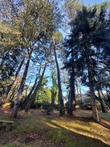 Maisons de vacances Au coeur des pins : photos des chambres