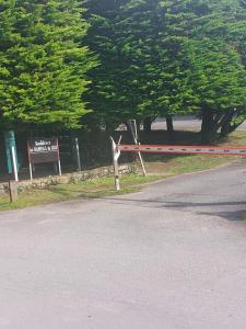 Maisons de vacances Au coeur des pins : photos des chambres