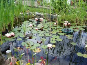 Ferienbungalow Kahmann