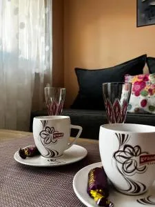 Apartman Milkovic 2 - 佩奇