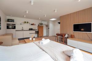 Studio Campo