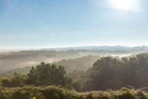 Camping Le Mas de Sireuil