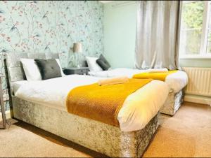 Twist of Tranquility in Rochester