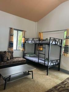 Ice Bear Bar & Tourist Inn