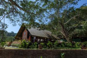 iRETREAT Jungle Bliss, Pa Pae