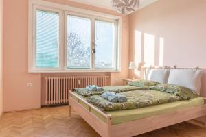 Vitosha Artist Apartment