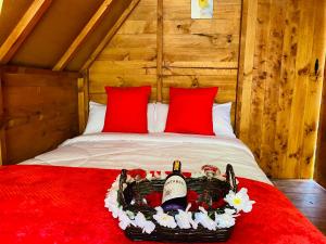 Cabañas cerca de Baños de Agua Santa - RIO VERDE