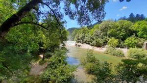 Maisons de vacances Gite Saint Guiral en pleine nature : Maison 3 Chambres
