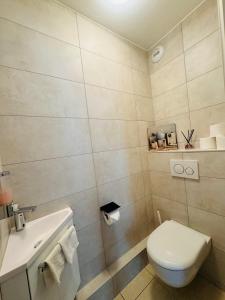 Beautiful Apartment near Geneva
