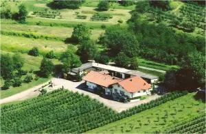 Weingut Ringwald - Kenzingen
