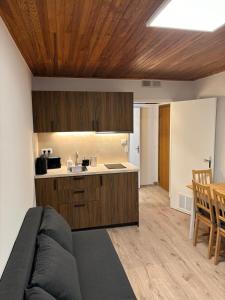 Studio 50m des pistes