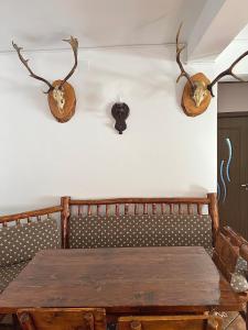 Cabana Floare de Colt