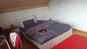 2 Bedroom Flat Kloten