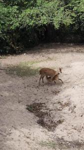 Au Bout Du Monde Villa 1