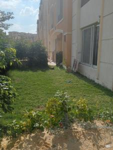 استون رايذدنس