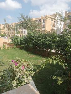 استون رايذدنس