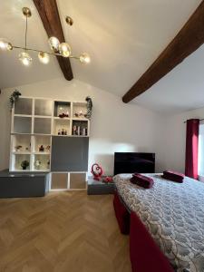 Appartements La bulle au centre de Tassin : photos des chambres
